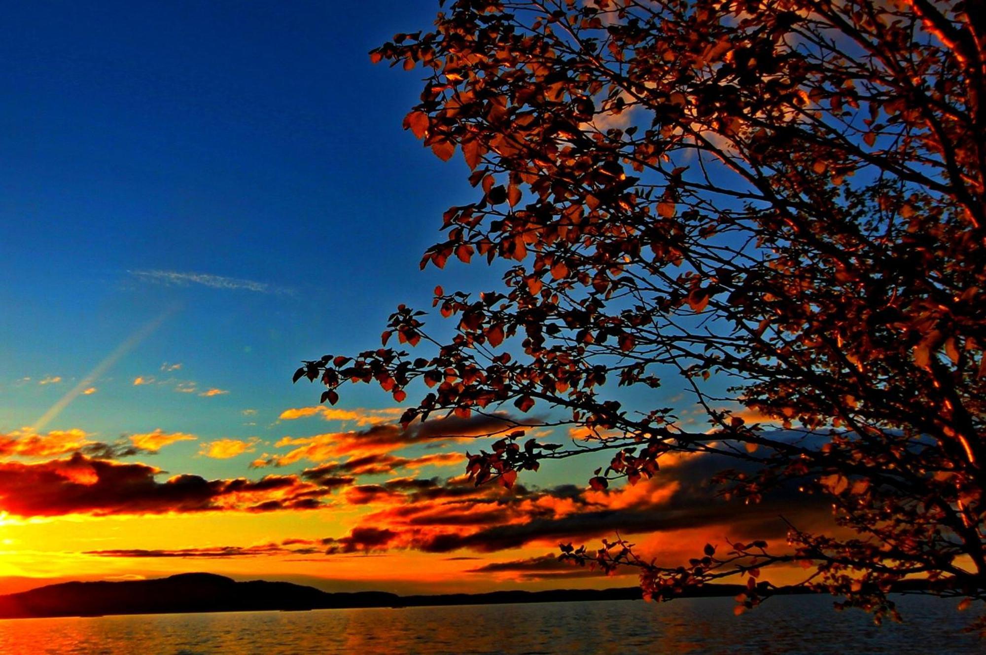 Ukonjaerven Holiday Village Ivalo Oda fotoğraf
