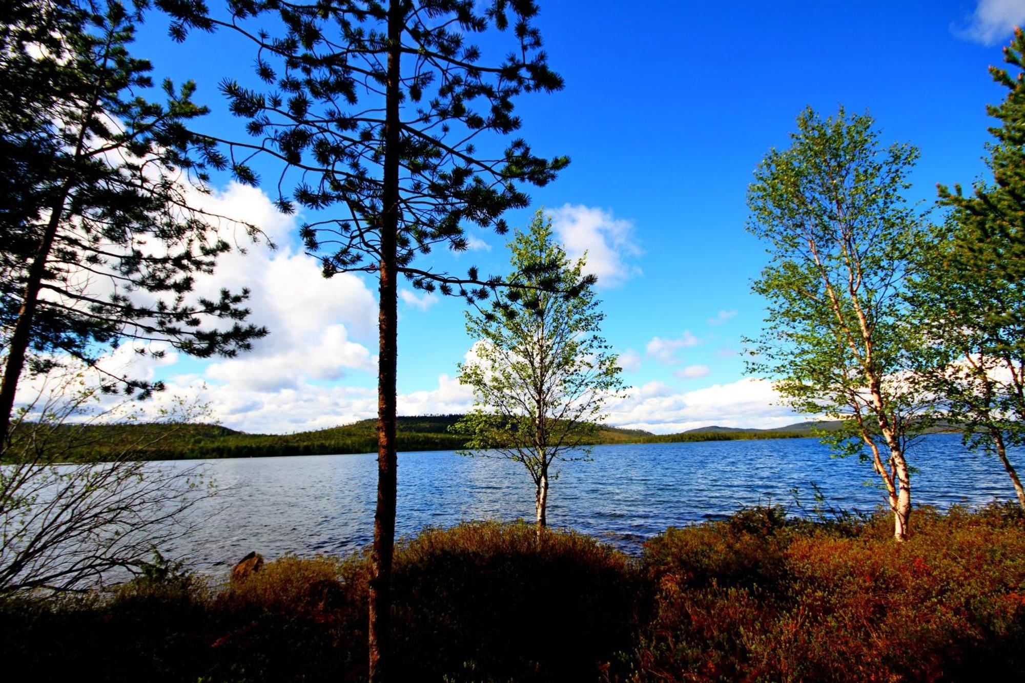 Ukonjaerven Holiday Village Ivalo Oda fotoğraf