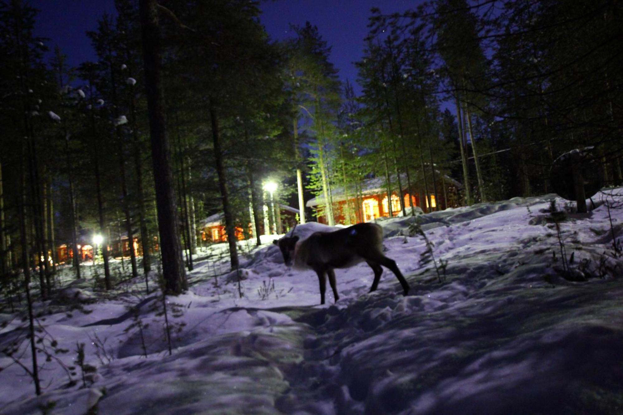 Ukonjaerven Holiday Village Ivalo Dış mekan fotoğraf