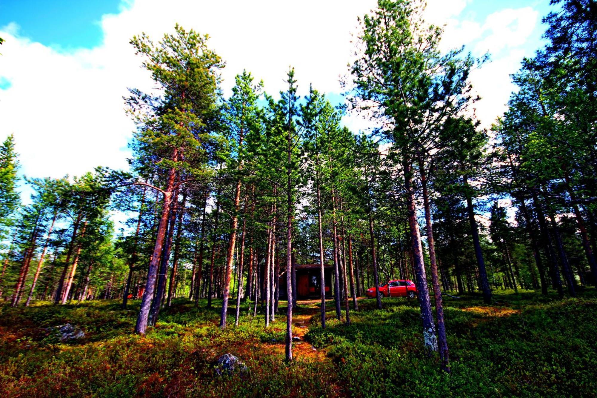 Ukonjaerven Holiday Village Ivalo Oda fotoğraf