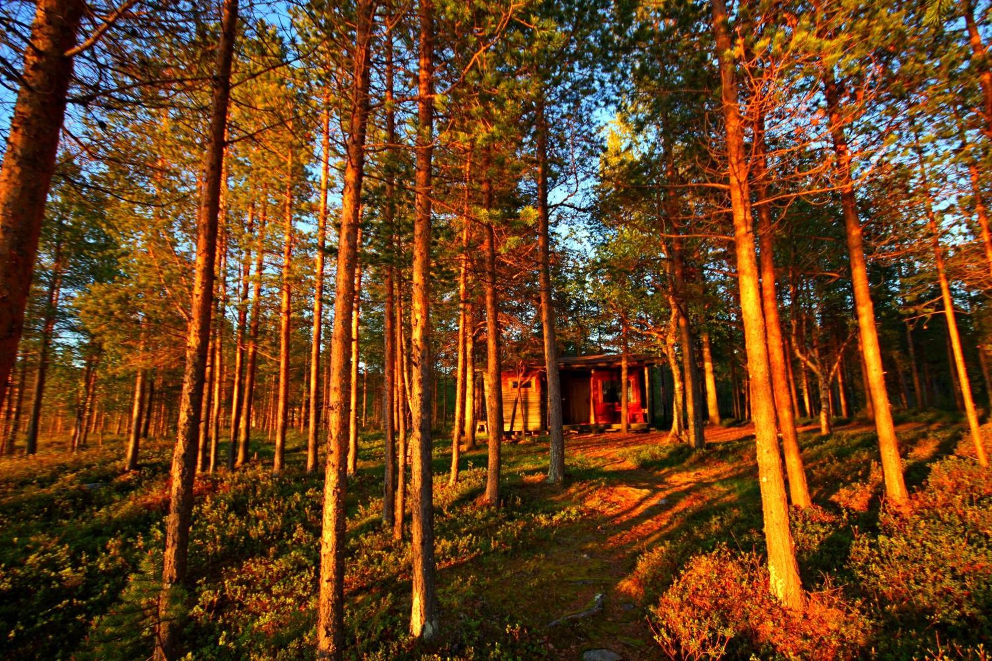 Ukonjaerven Holiday Village Ivalo Oda fotoğraf