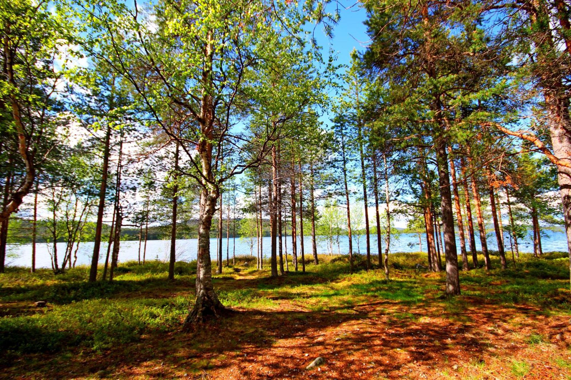 Ukonjaerven Holiday Village Ivalo Oda fotoğraf